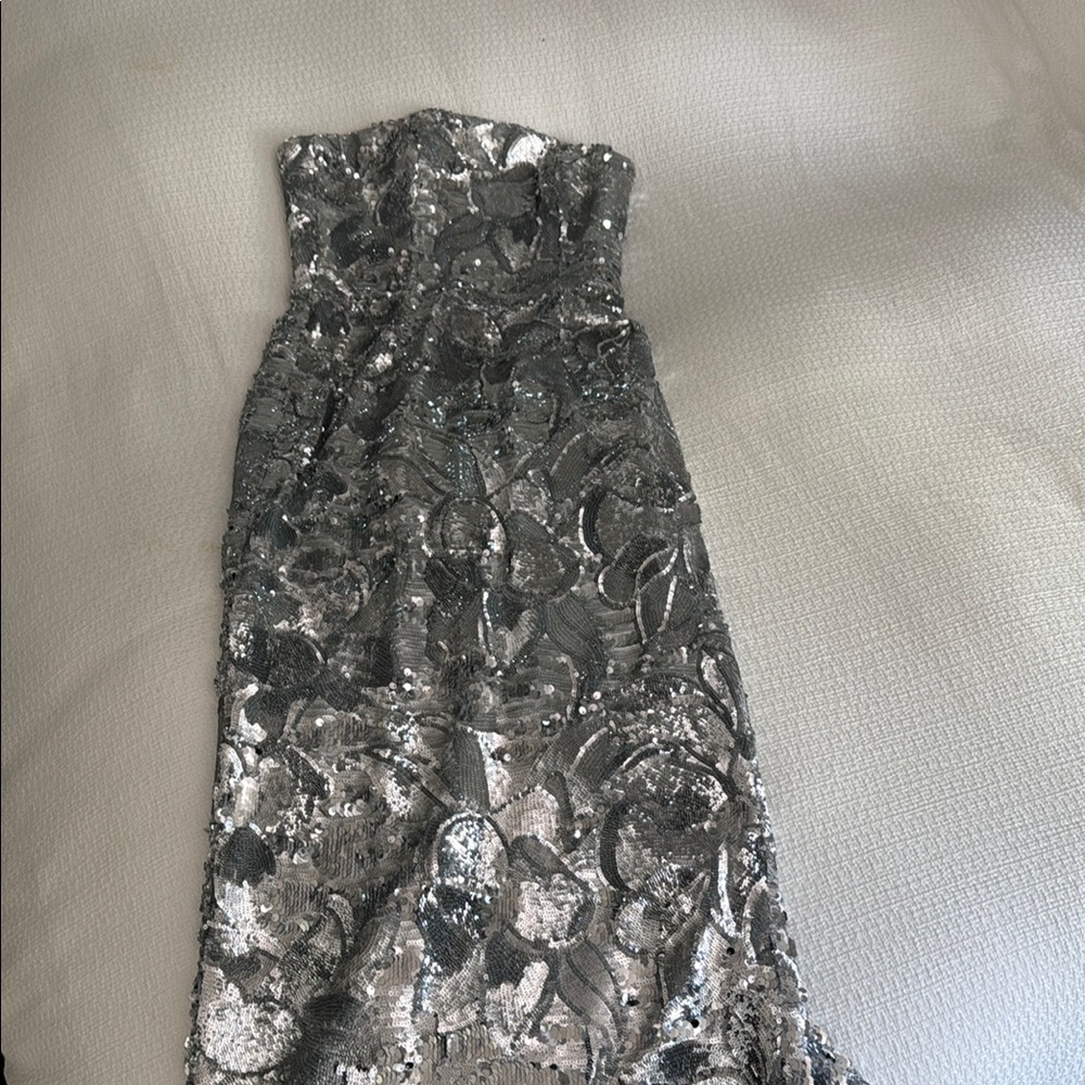 Elegant Silver Strapless Dress